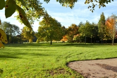 Accross_Fields