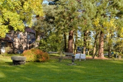 Front_Left